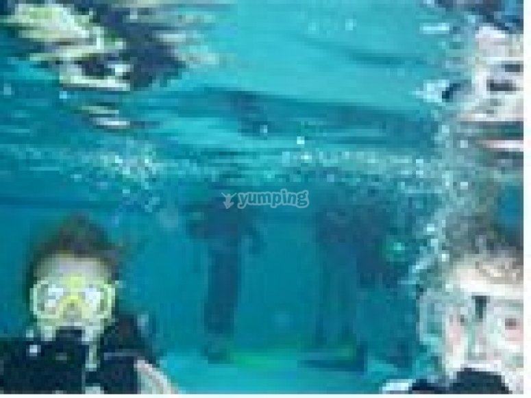 The Brighton Dive Centre, prices and bookings 2023